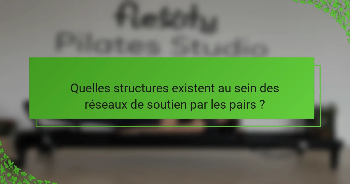 Quelles structures existent au sein des réseaux de soutien par les pairs ?