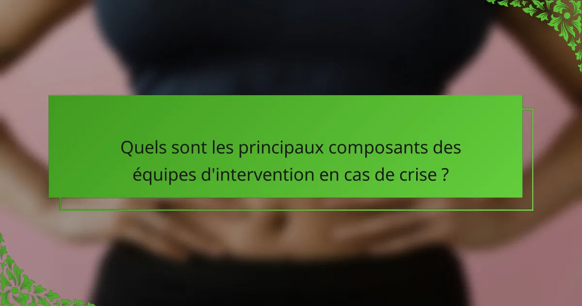 Quels sont les principaux composants des équipes d'intervention en cas de crise ?